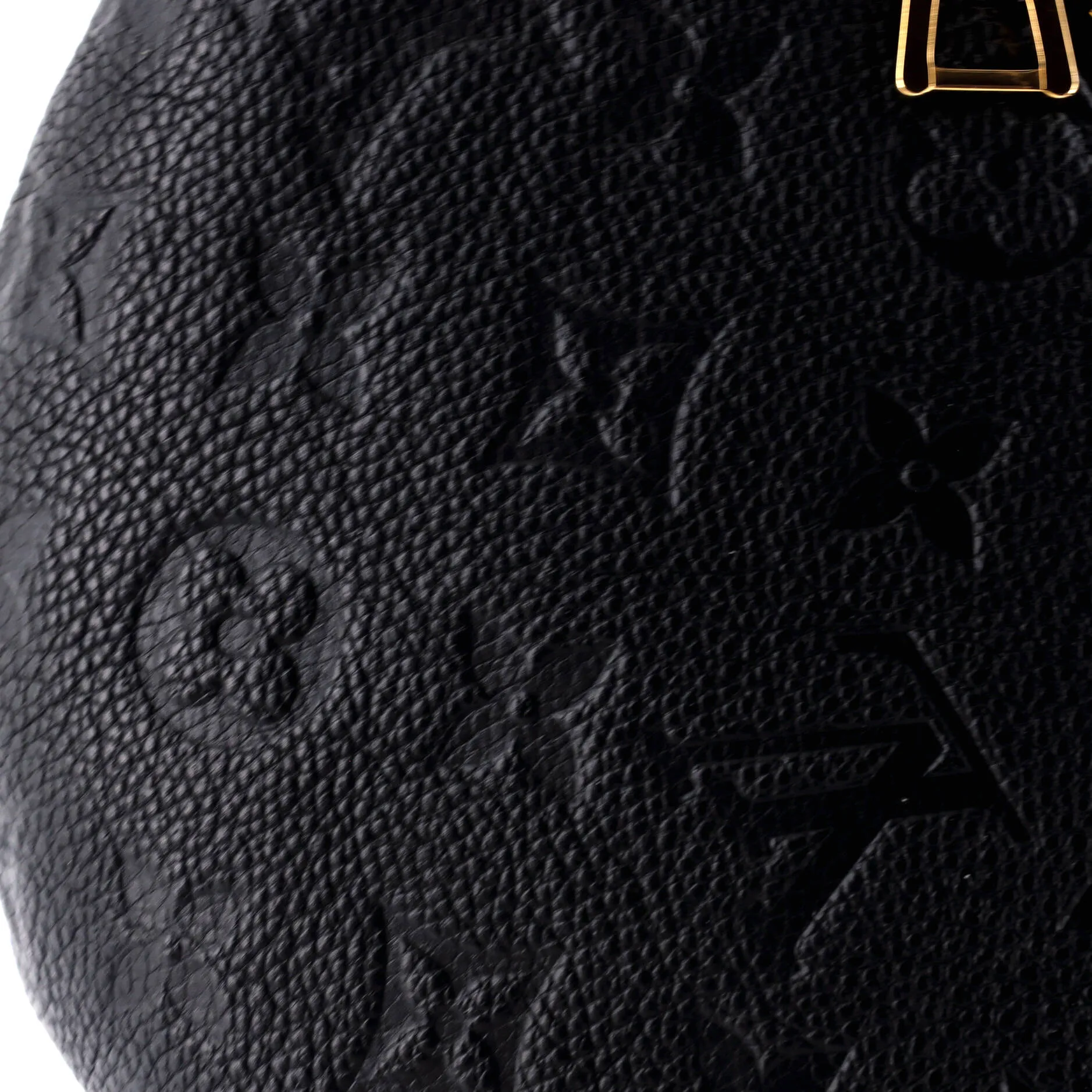 Bum Bag Monogram Empreinte Leather