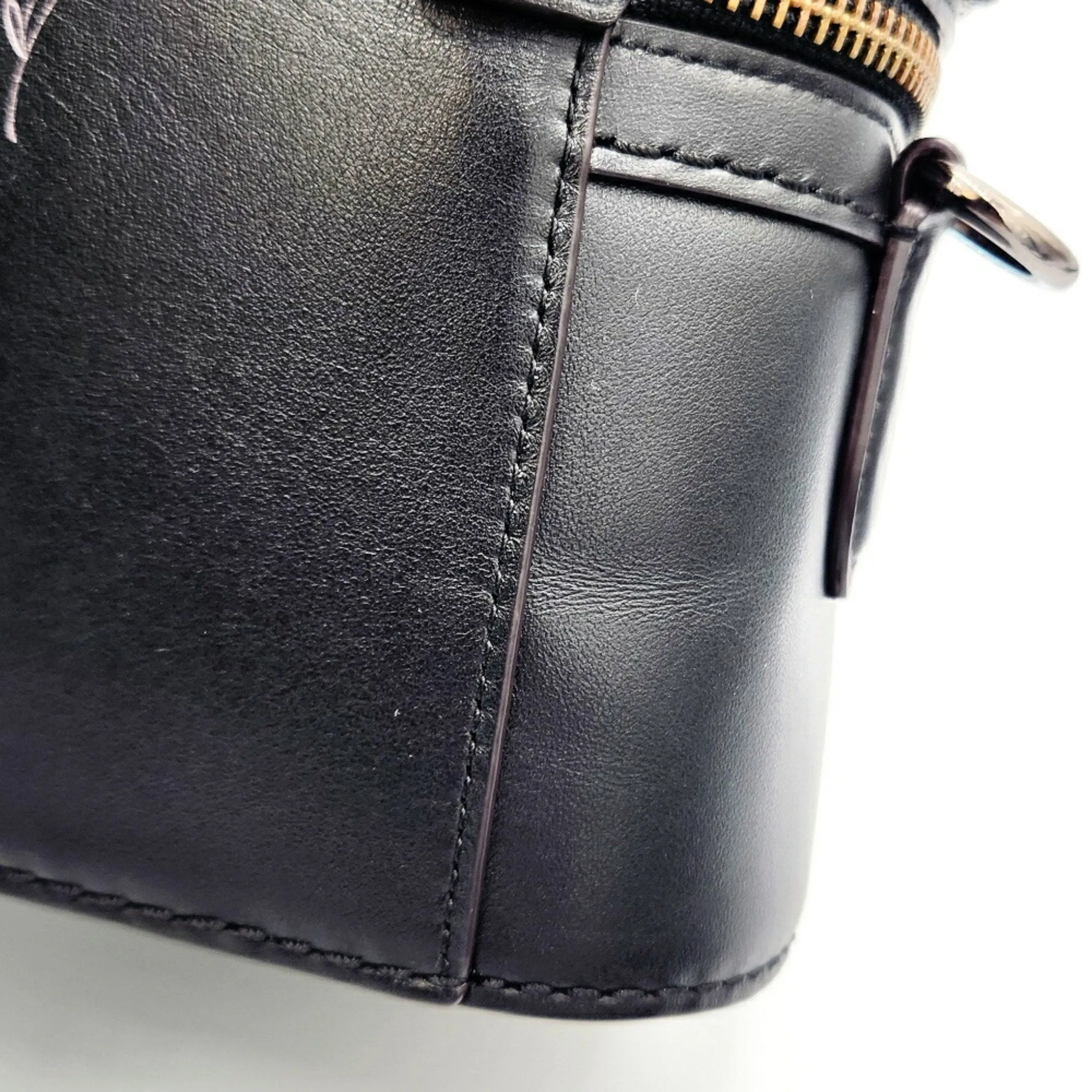 Coach Leather Handbag Shoulder Bag Vanity Bag (Pre-Owned)
