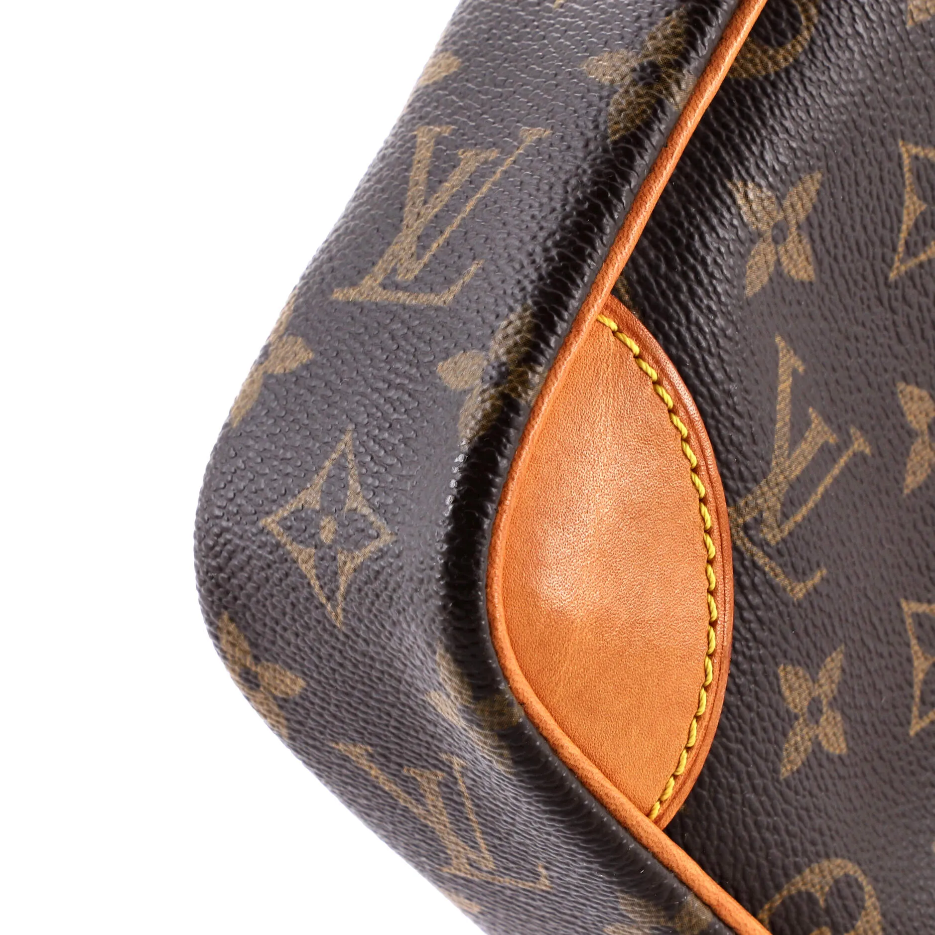 Danube Handbag Monogram Canvas