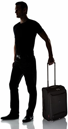 Delsey Luggage Chatillon 21" Carry-On Exp. 2 Wheel Trolley, Black
