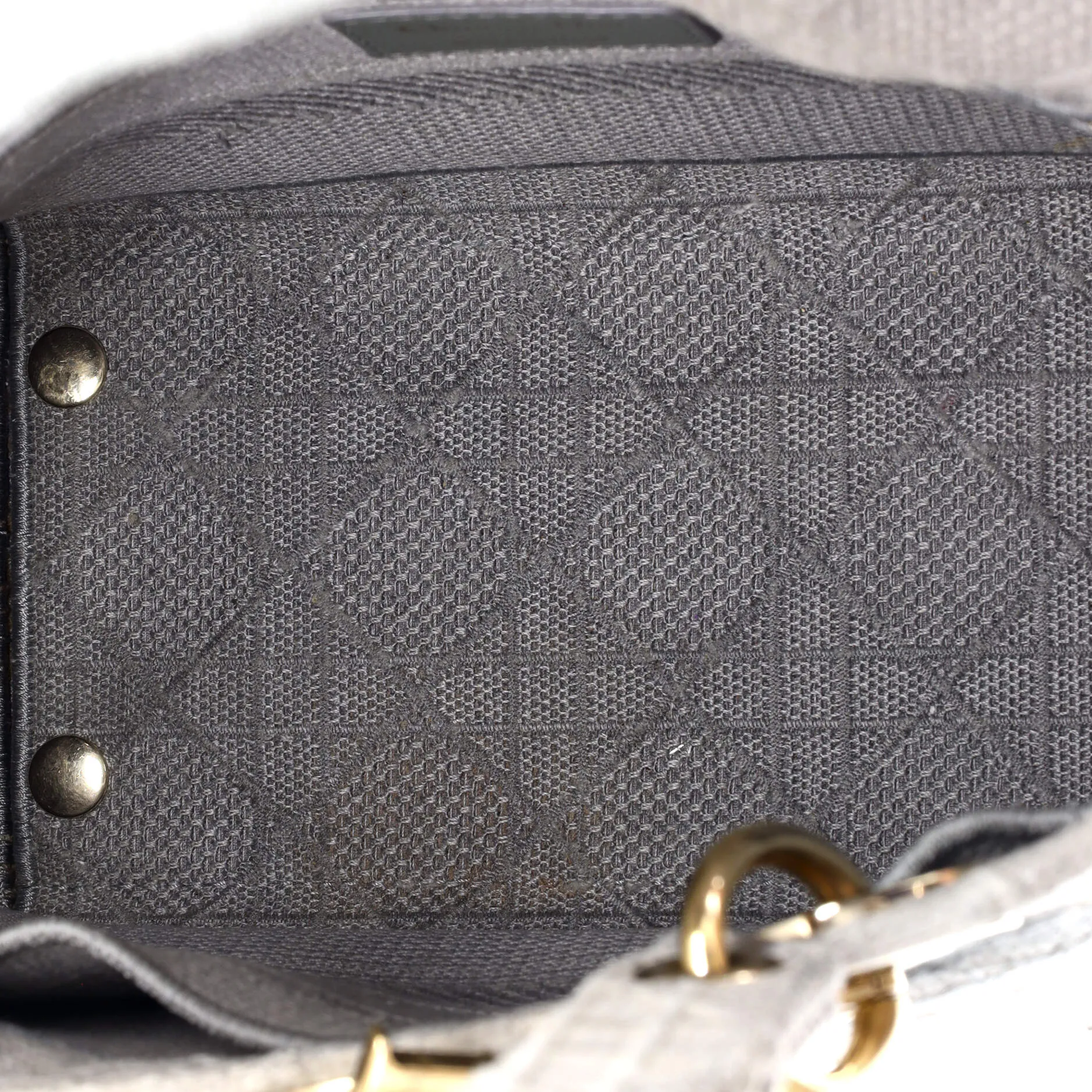 Lady D-Lite Bag Cannage Embroidered Canvas Medium