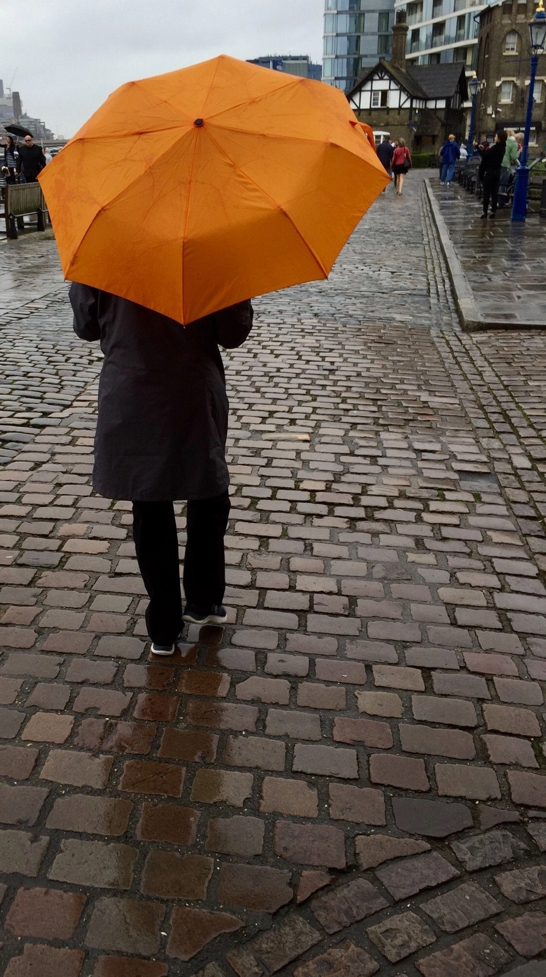 Lewis N. Clark Compact & Lightweight Travel Umbrella Opens & Closes Automatically