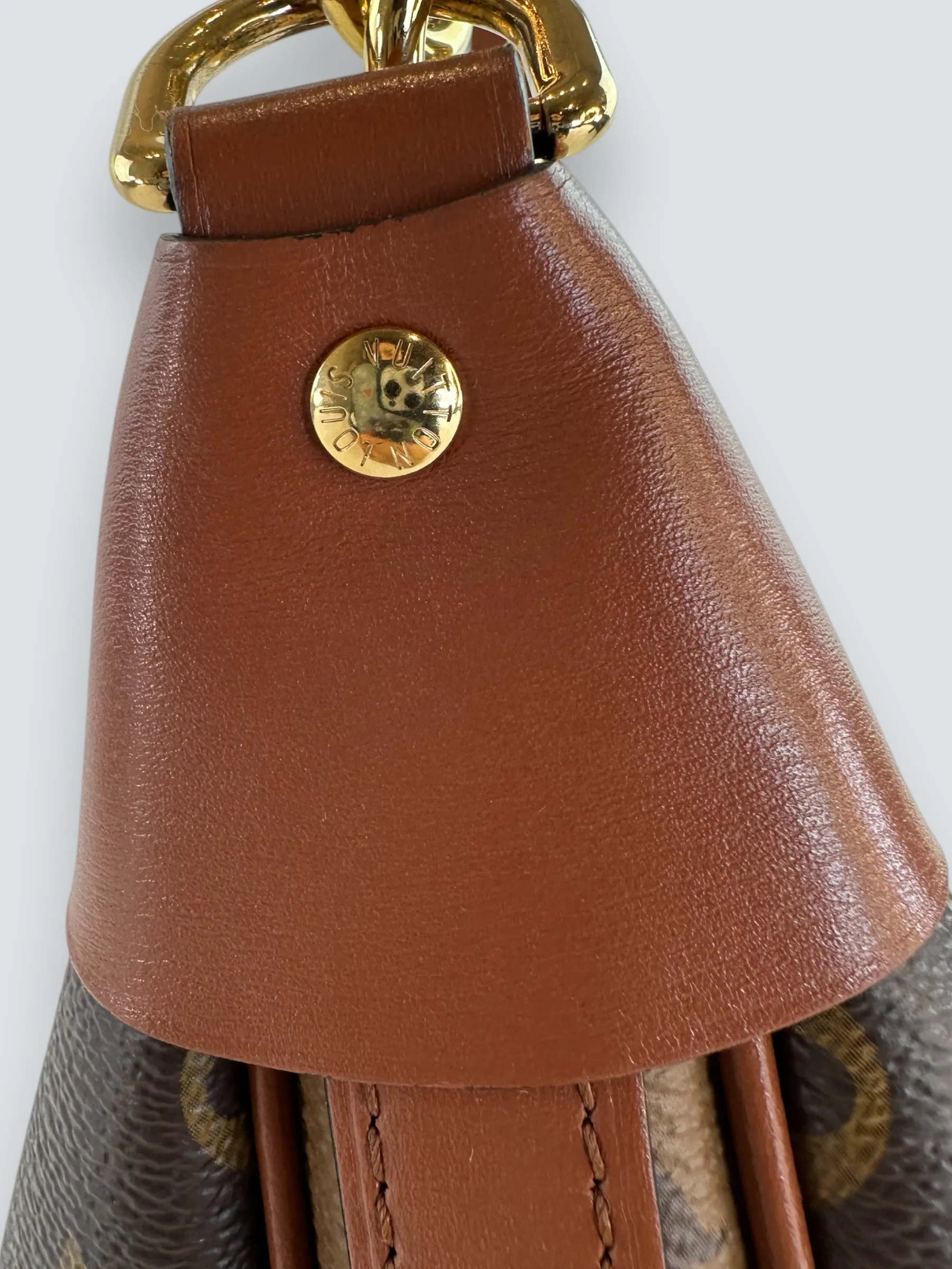 Louis Vuitton Monogram Canvas ??Loop?? Hobo
