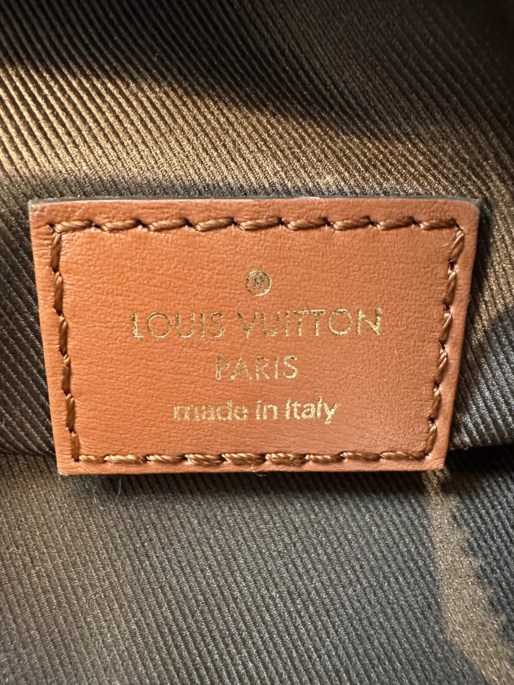 Louis Vuitton Monogram Canvas ??Loop?? Hobo