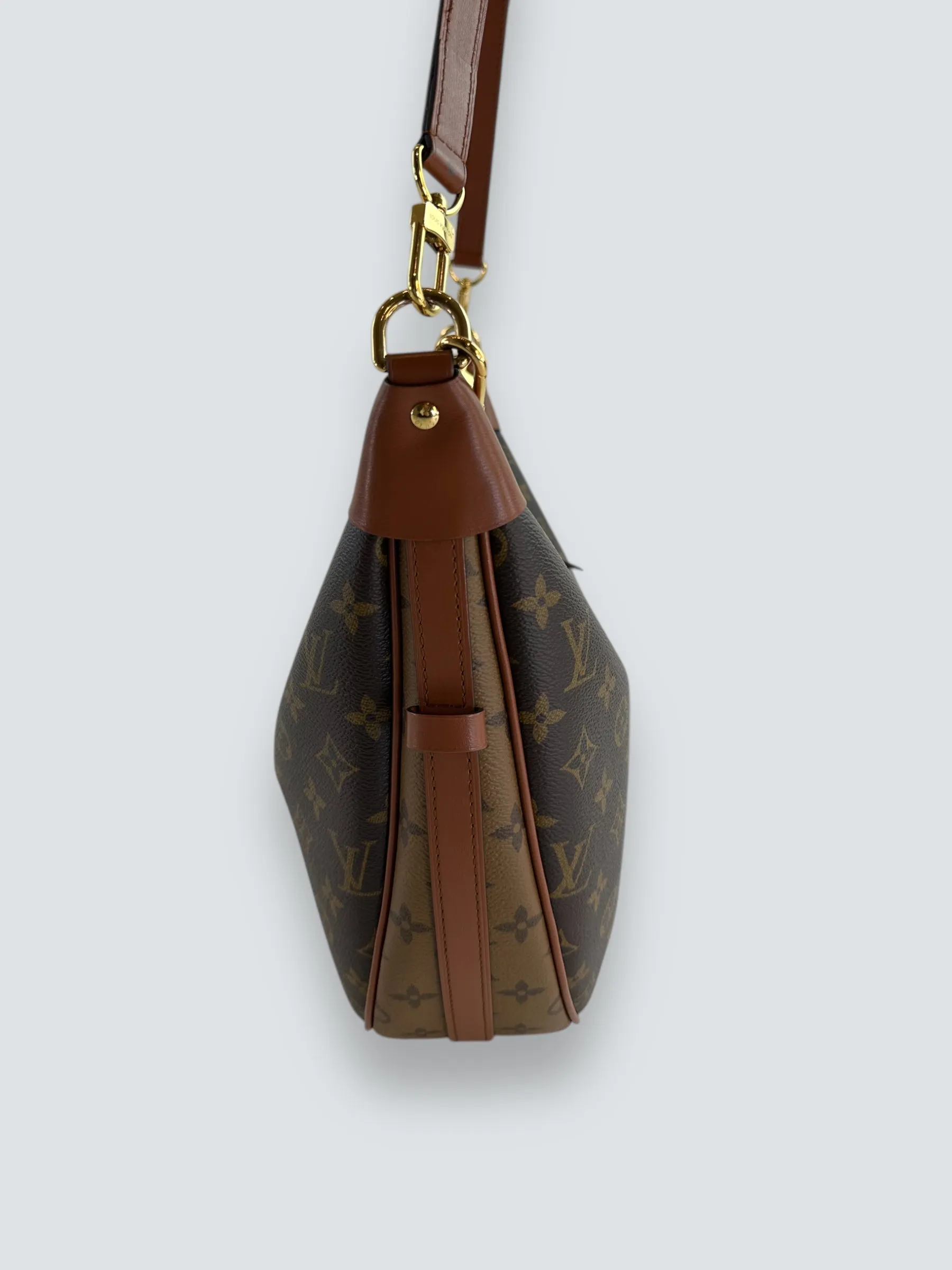 Louis Vuitton Monogram Canvas ??Loop?? Hobo