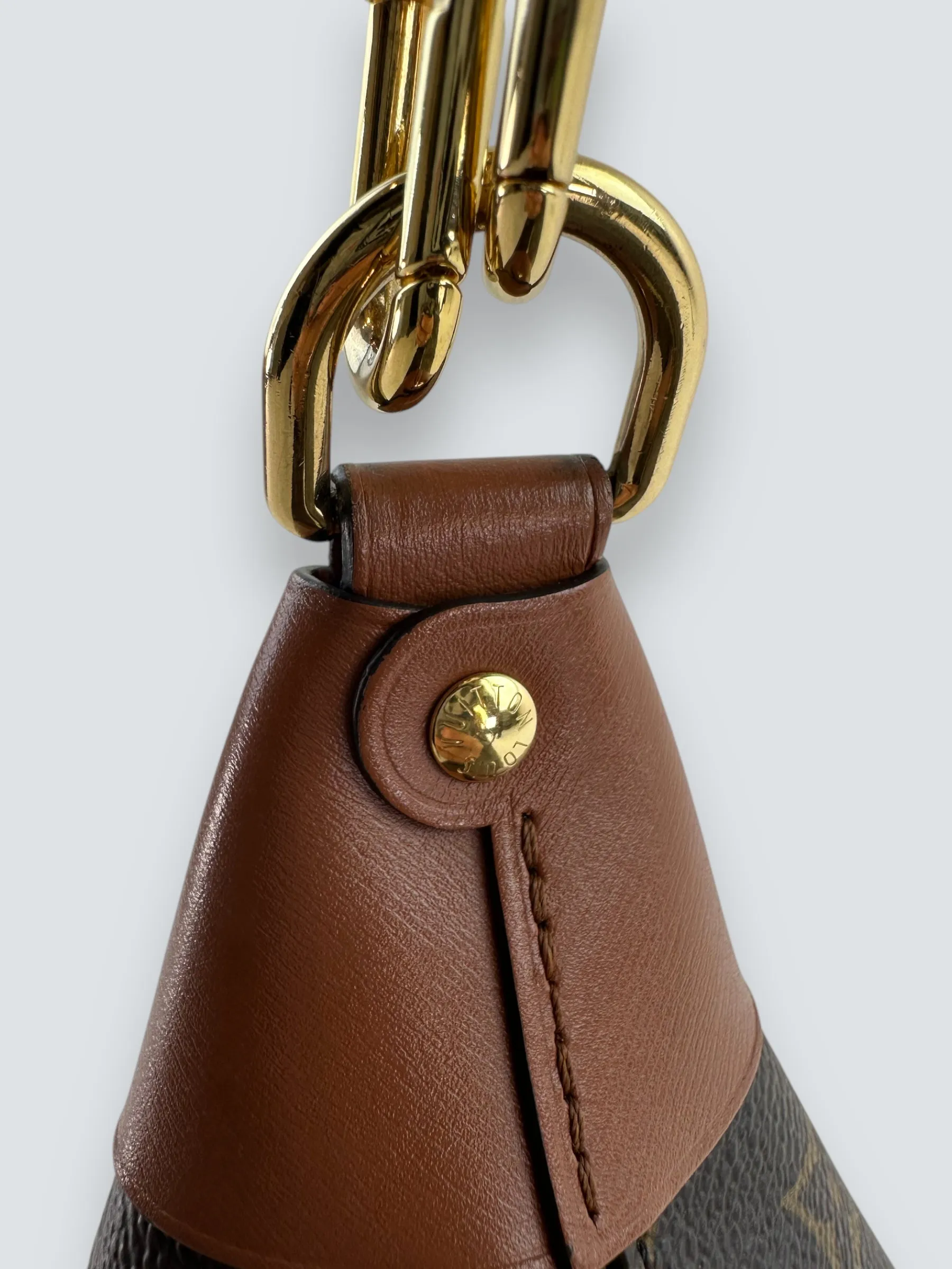 Louis Vuitton Monogram Canvas ??Loop?? Hobo