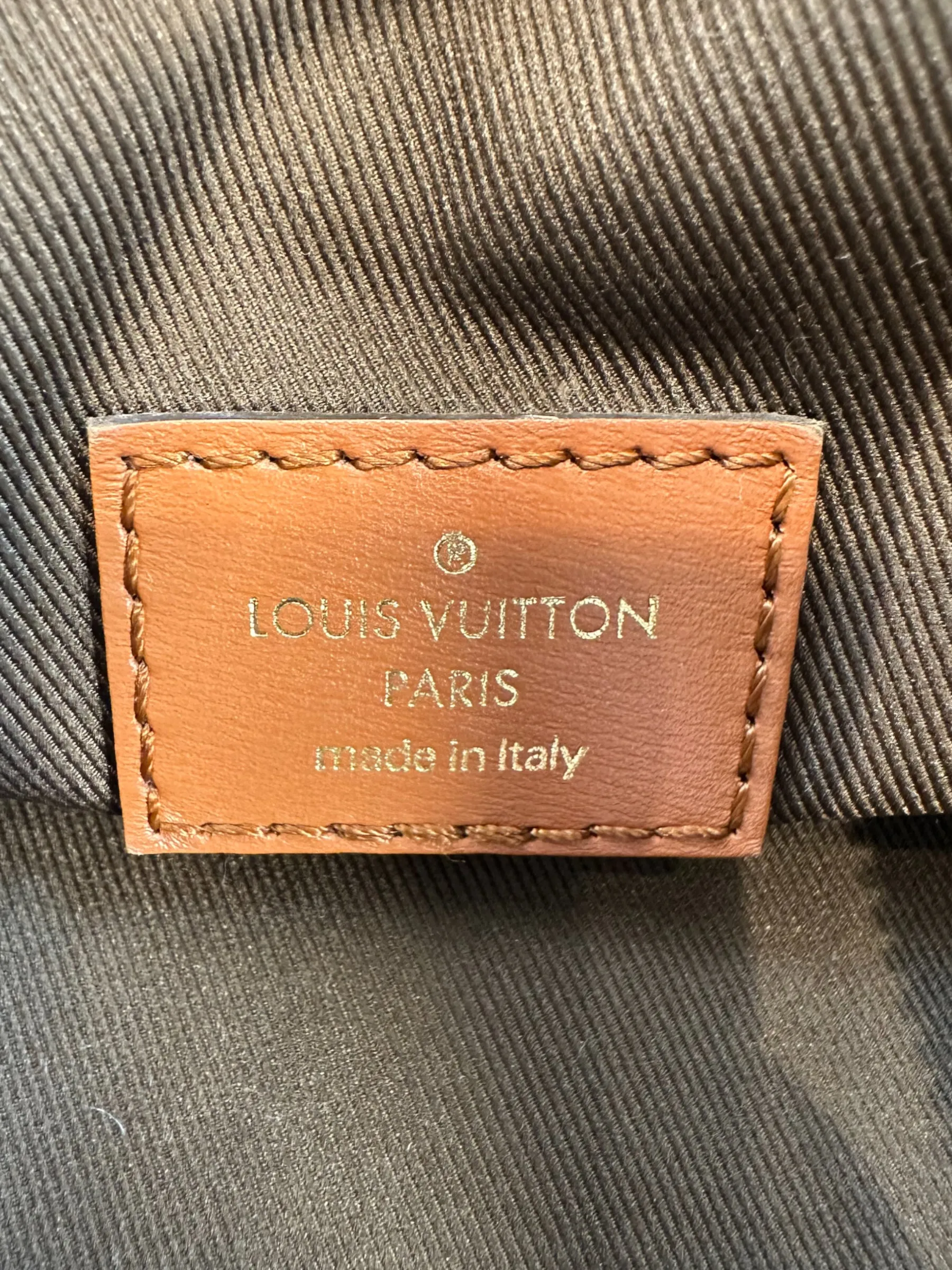 Louis Vuitton Monogram Canvas ??Loop?? Hobo