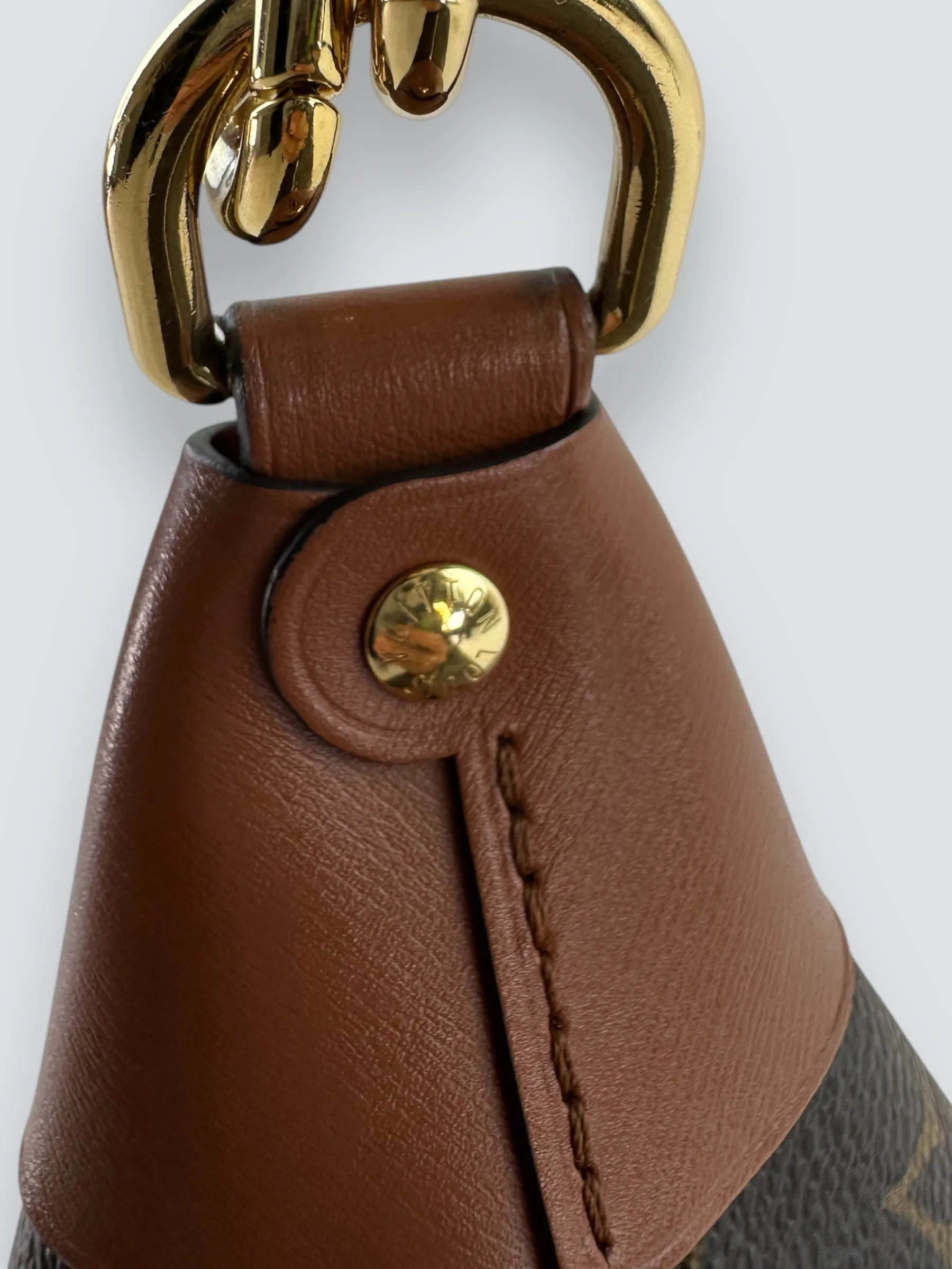 Louis Vuitton Monogram Canvas ??Loop?? Hobo