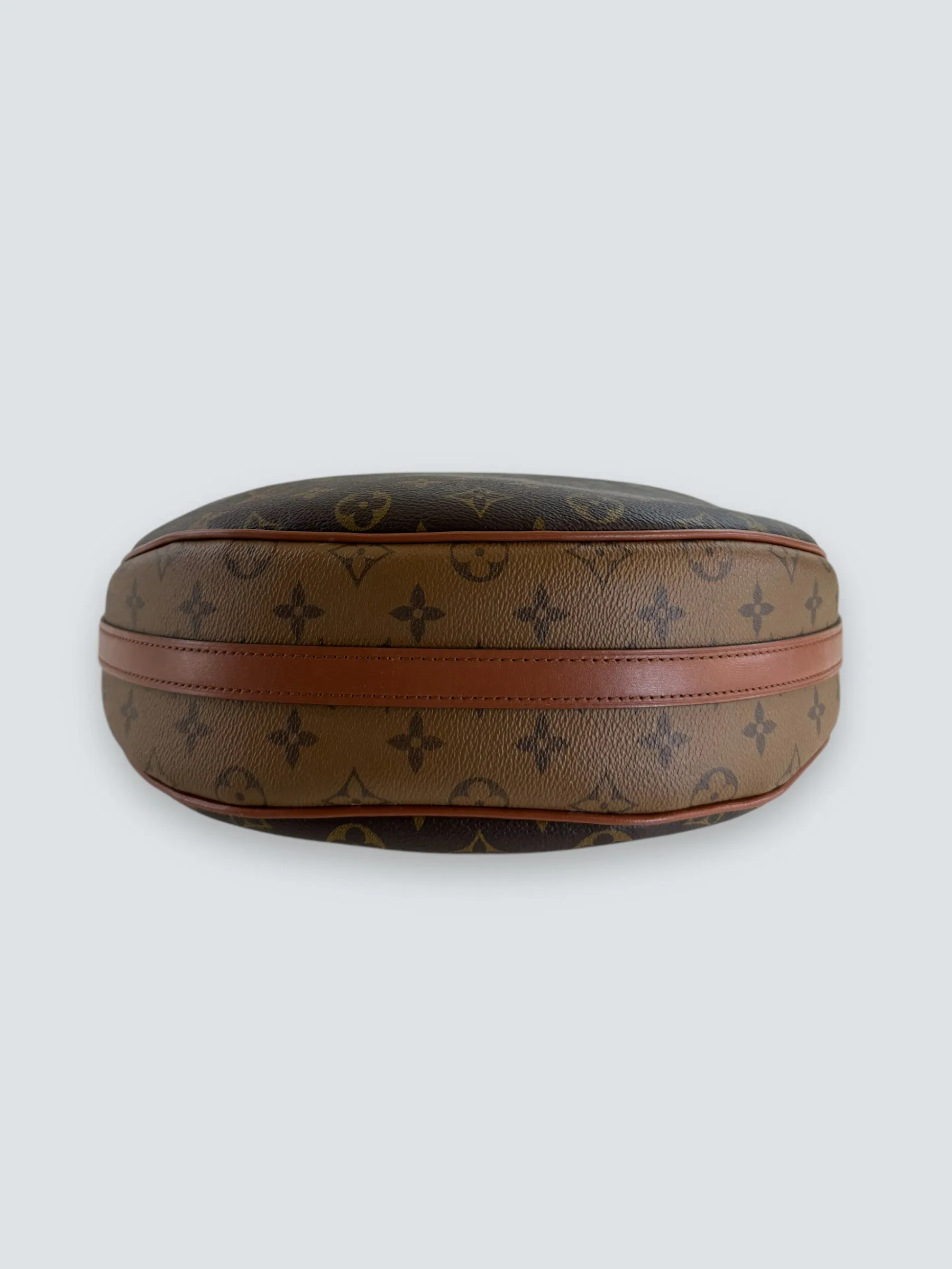 Louis Vuitton Monogram Canvas ??Loop?? Hobo