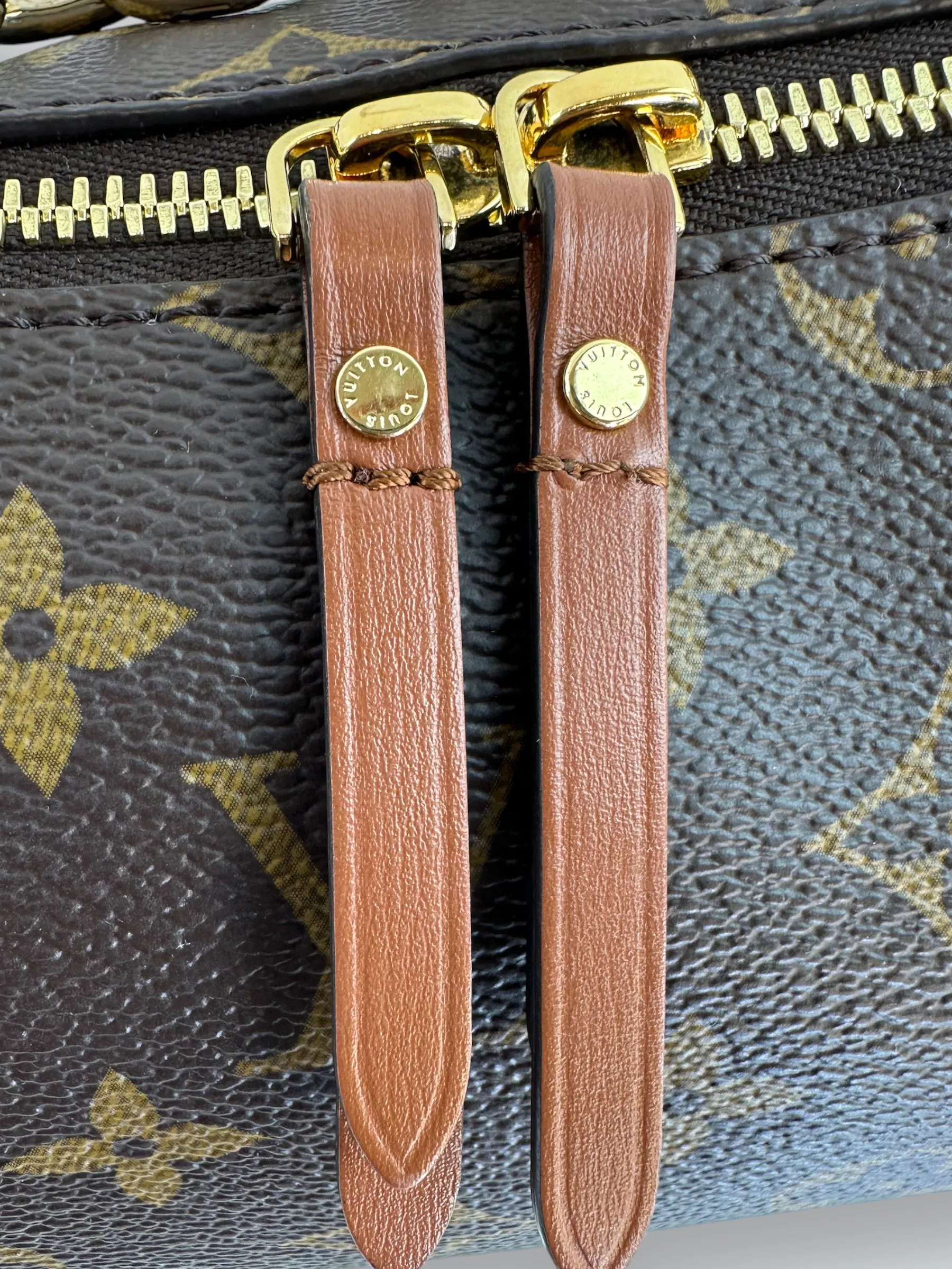 Louis Vuitton Monogram Canvas ??Loop?? Hobo