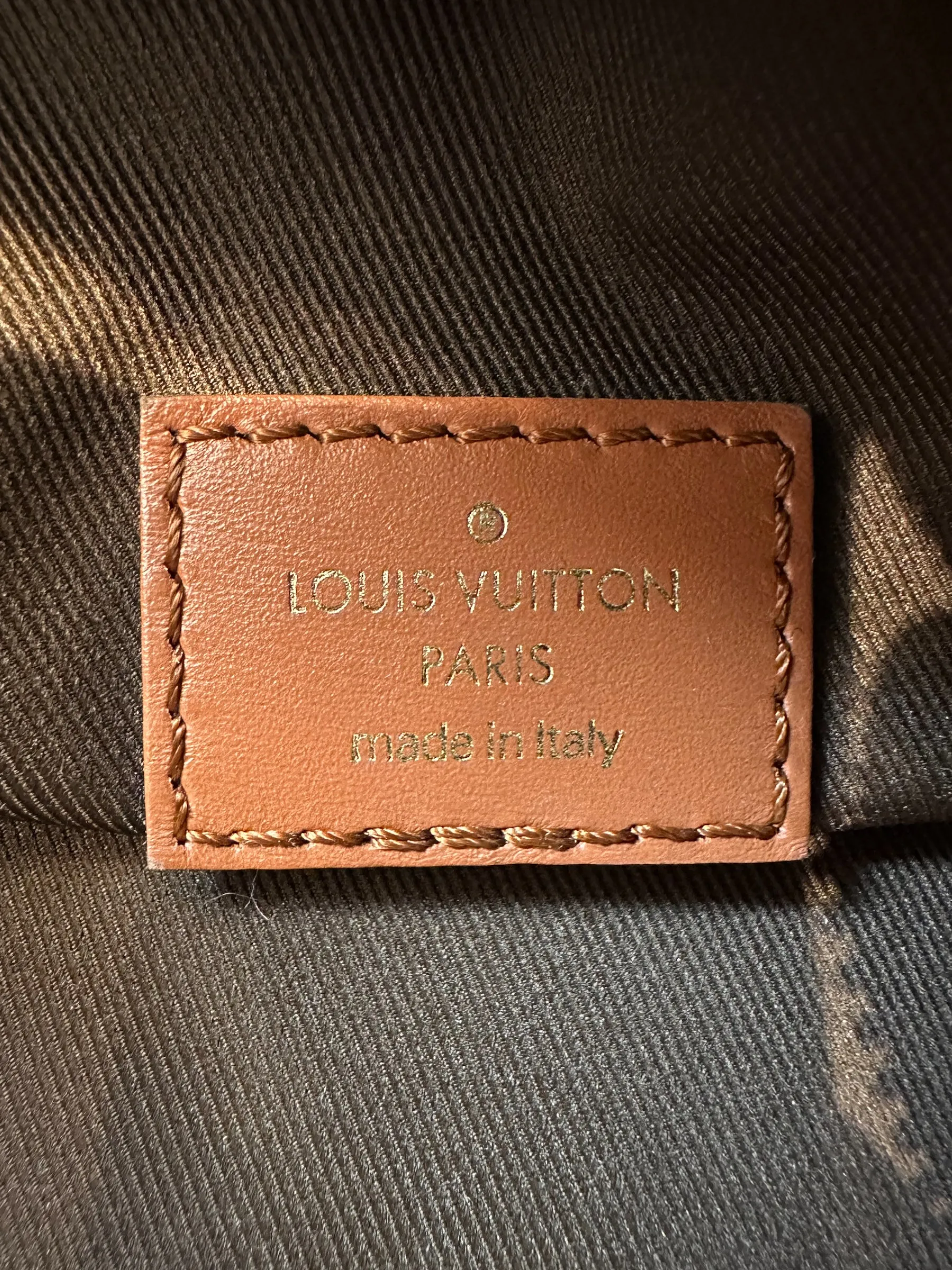 Louis Vuitton Monogram Canvas ??Loop?? Hobo