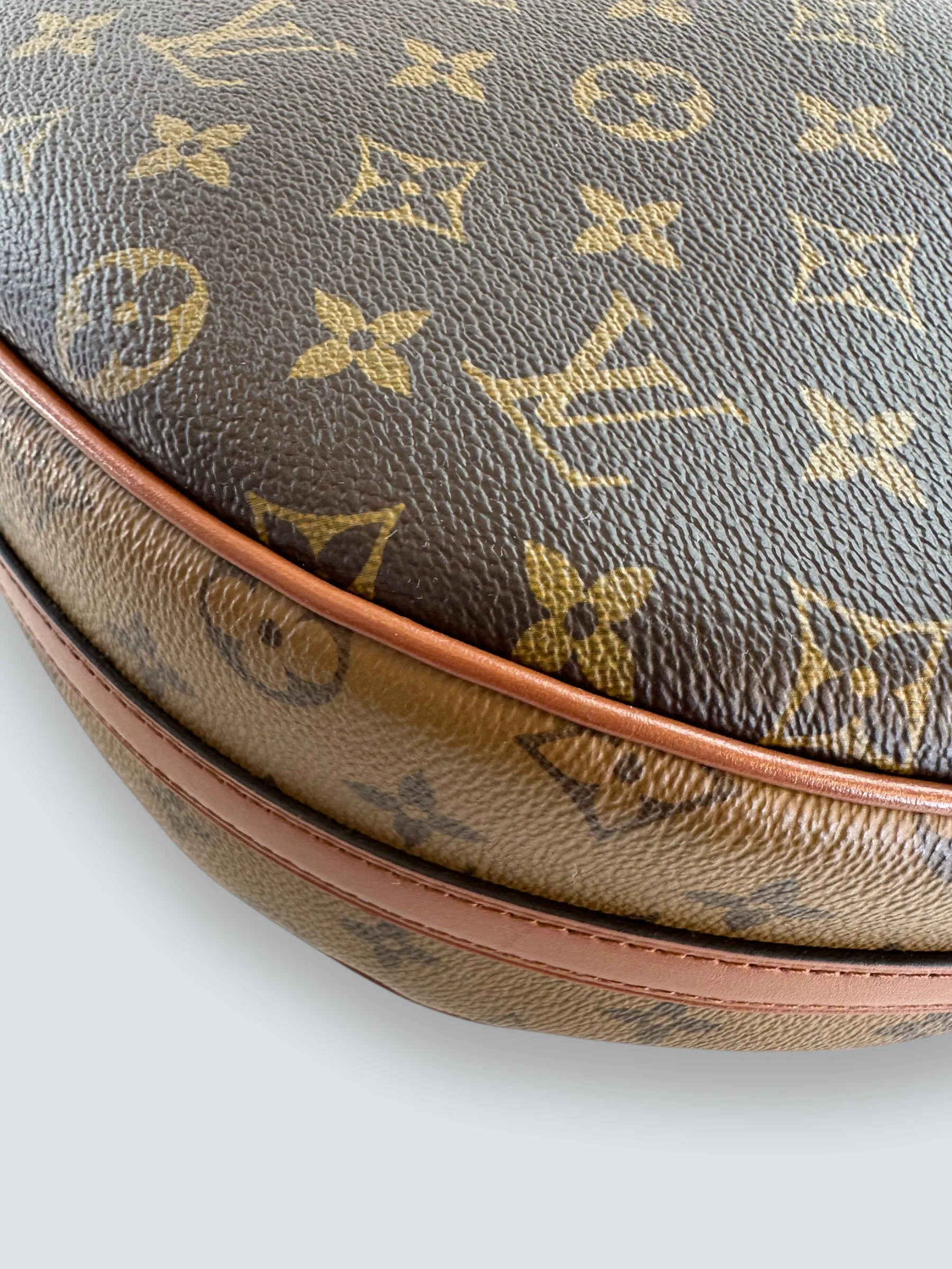 Louis Vuitton Monogram Canvas ??Loop?? Hobo