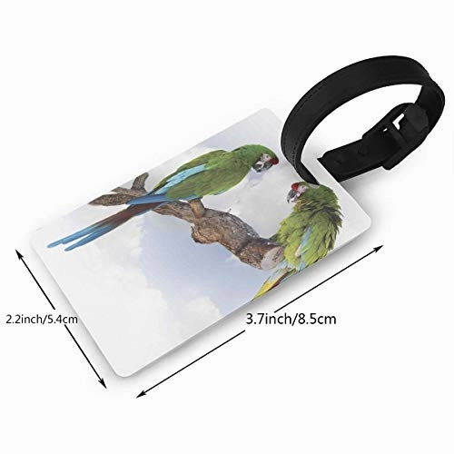 Luggage Tags Flexible Travel ID Identification LabelsTwo Parrot Macaw On A Branch Talking Birds