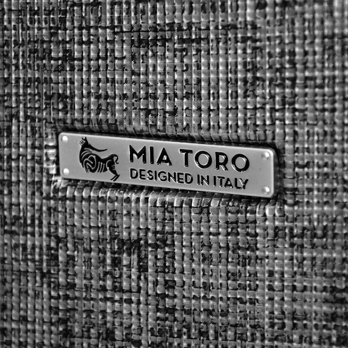 Mia Toro Macchiolina Abrasa Hardside Spinner Carry On