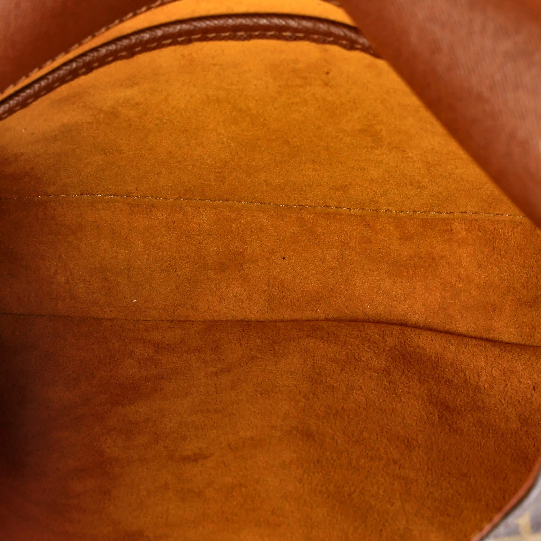 Musette Tango Handbag Monogram Canvas