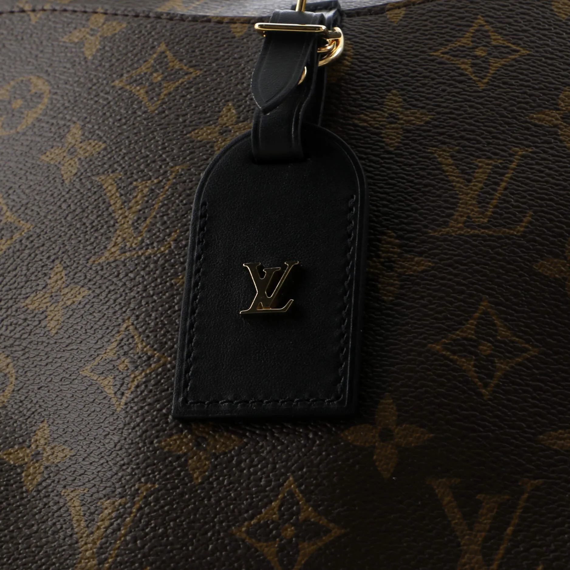 Odeon NM Handbag Monogram Canvas PM