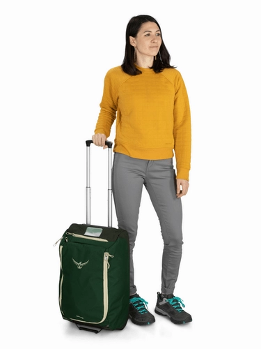 Osprey Daylite Carry-On Convertible Wheeled Duffel 40 L