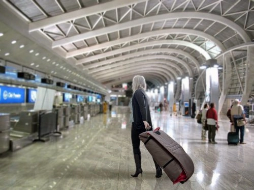 phil&teds Universal Travel Bag