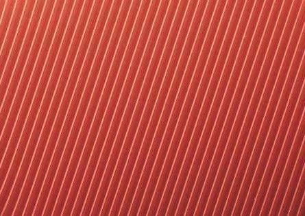 Samsonite Centric Expandable Hardside Carry On Luggage with Spinner Wheels, 20 Inch, Burnt Orange