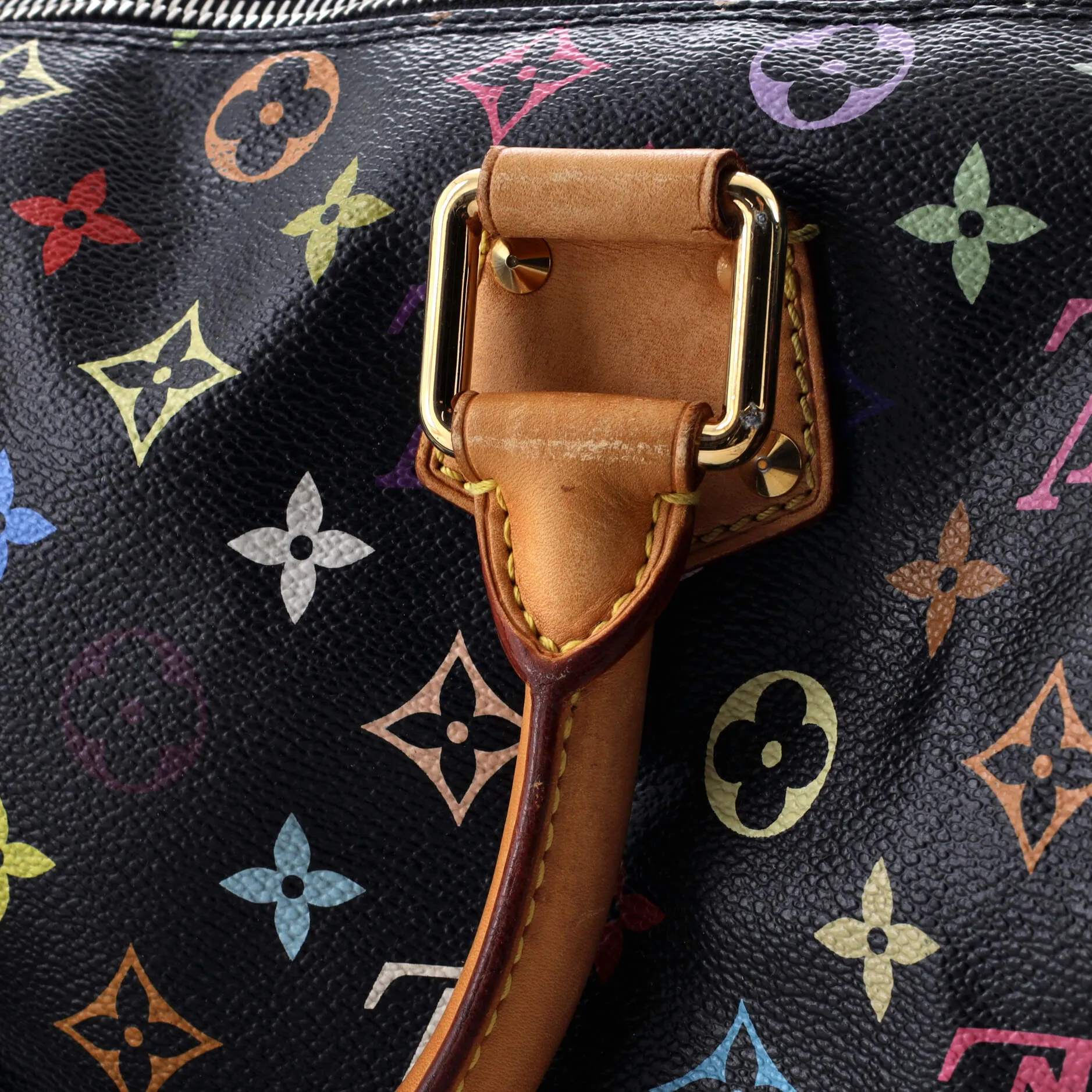 Speedy Handbag Monogram Multicolor 30
